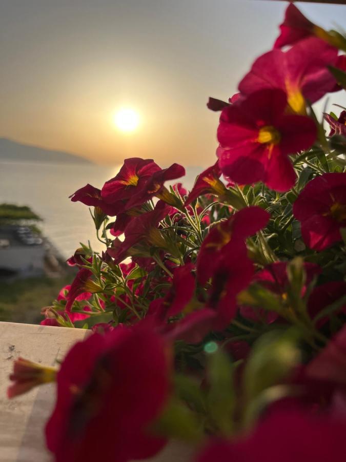 Lotus Apartments Vlorë Exterior foto